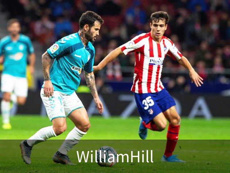 WilliamHill概况